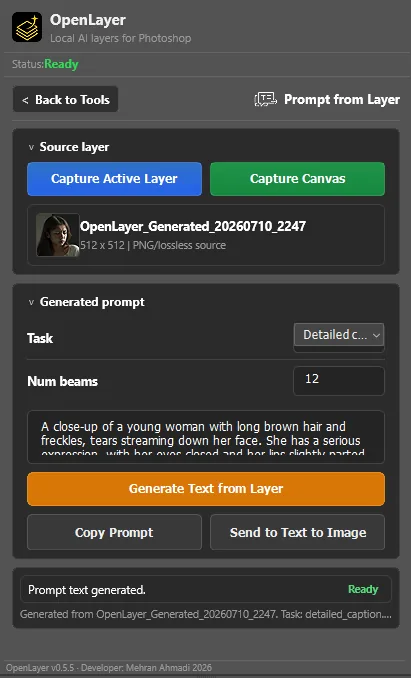 Earlier Prompt from Layer screen with captured image and generated description.